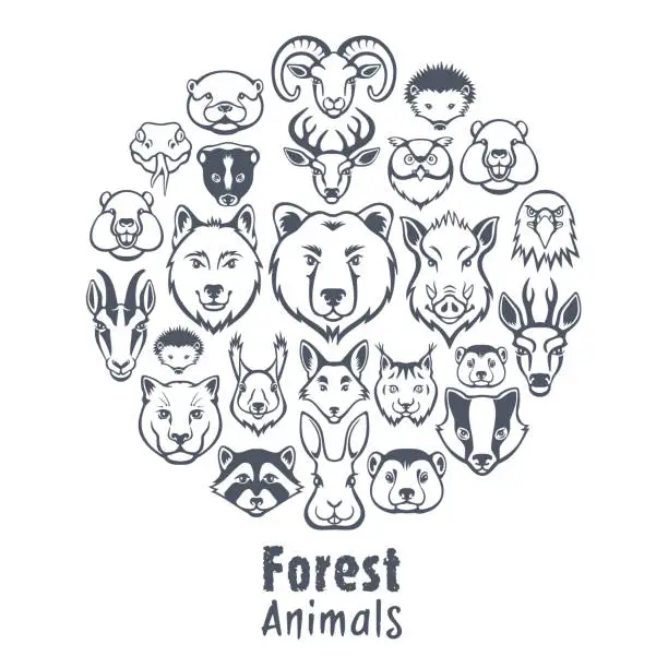 Vector illustration of Forest Animals Collage
