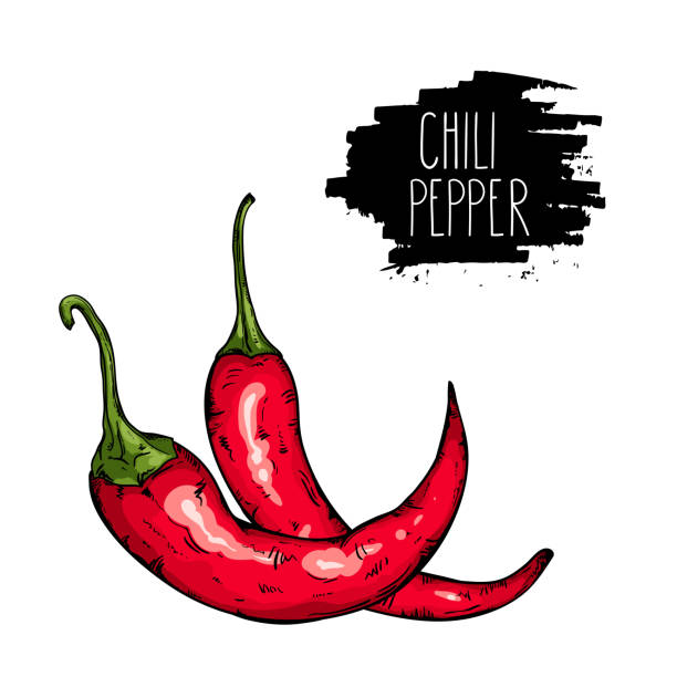 チリ唐辛子 - chili pepper illustrations点のイラスト素材／クリップアート素材／マンガ素材／アイコン素材