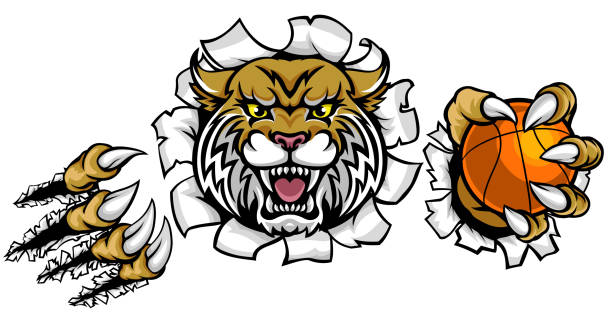 ilustrações de stock, clip art, desenhos animados e ícones de wildcat basketball ball mascot - bobcat wildcat undomesticated cat animal