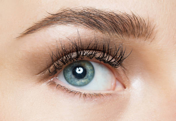 istock Close up of eye and makeup 1035436108