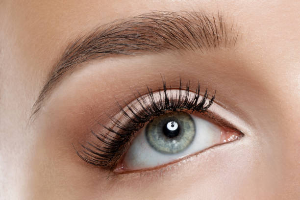 istock Close up of eye and makeup 1035436196