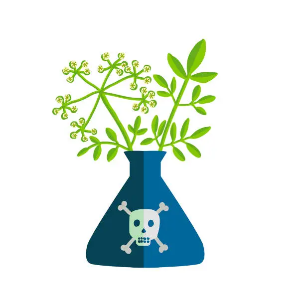 Vector illustration of Poisonous plant