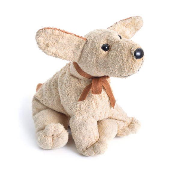 istock Cute Toy dog isolated on white background 1035451922