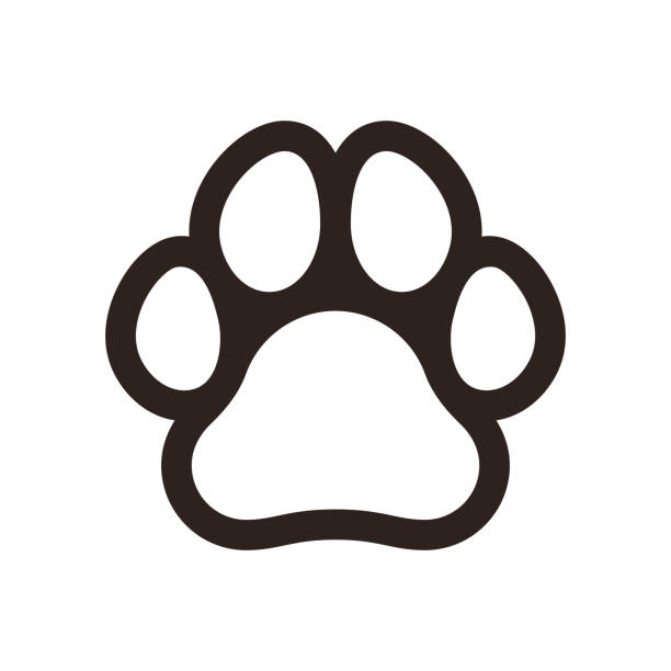 ilustrações de stock, clip art, desenhos animados e ícones de paw print icon - paw print