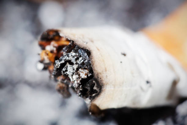 istock Fag end: extinguished remains of a smoked cigarette 1035456874