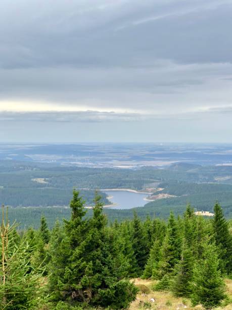 istock Beautiful forest view in harz national park in Germany 1035469446