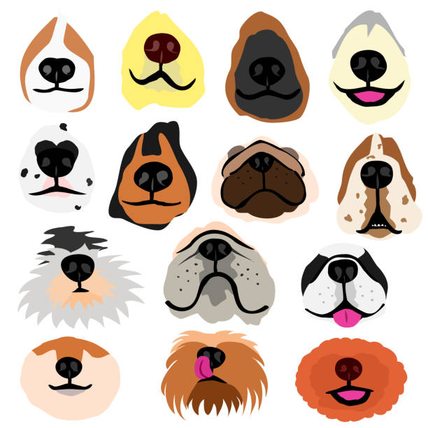 Dog Mouth Illustrations, Royalty-Free Vector Graphics & Clip Art - iStock