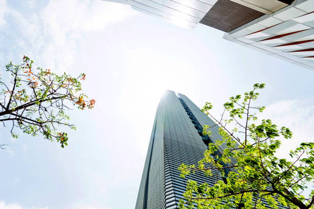 istock Business skyscraper and green leaves 1035479734