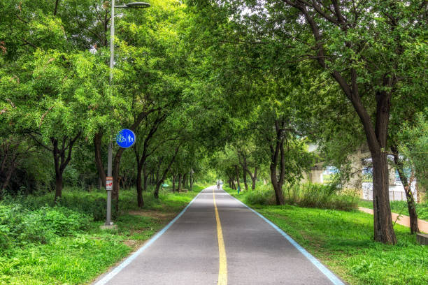 Han River in Seoul, South Korea bike lane. The bike lanes run alongside the han river.