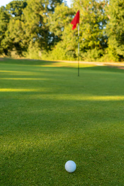 ゴルフ ・ ボール、ホール、ゴルフ場のグリーンに赤い旗 - 18th hole ストックフォトと画像