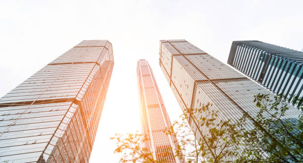 istock Business skyscraper and green leaves 1035483780