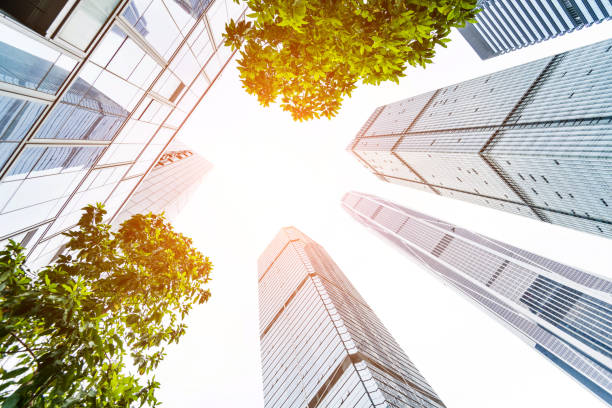 istock Business skyscraper and green leaves 1035483988