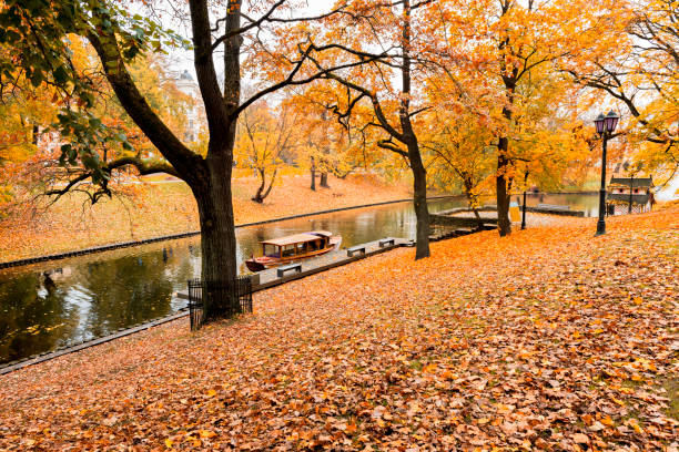 istock Autumn in central public park of Riga 1035496796