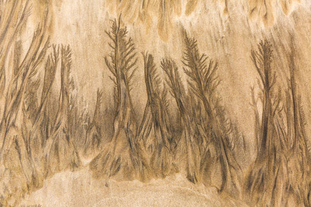 Painting of quicksand.