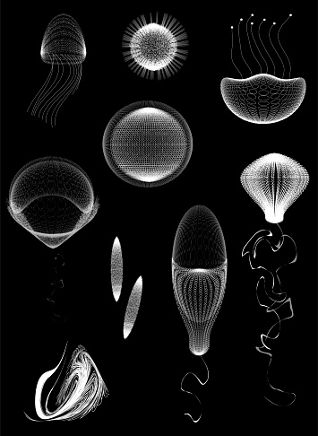 set of primitive organisms, jelly, unicellular, vector