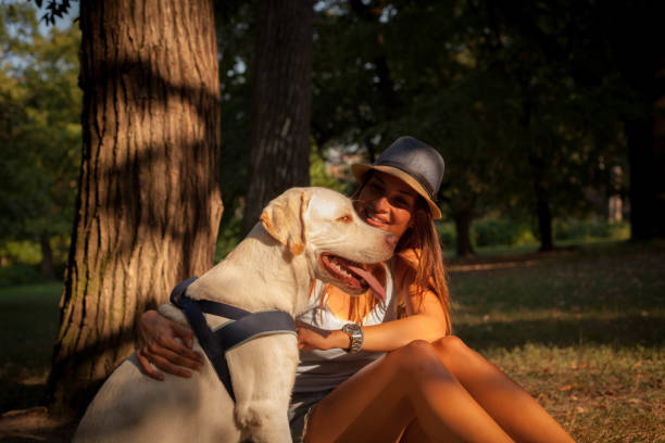 istock Labrador and woman. 1035521876