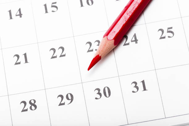 istock Check out the dates in a business calendar concept 1035523900