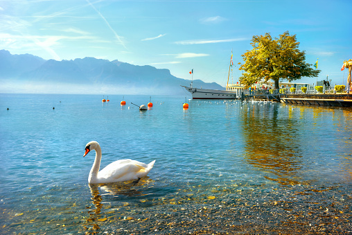 Lake Geneva in Vevey. Vaud canton, Switzerland