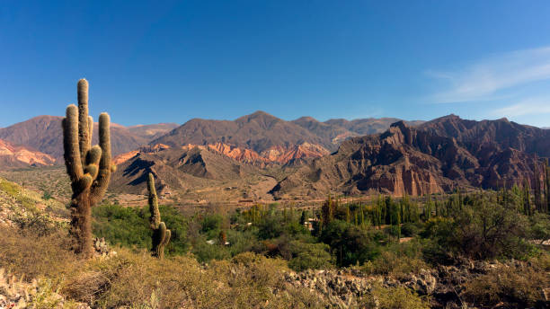 paisaje de tilcara, jujuy, argentina - photography north america cactus plant fotografías e imágenes de stock