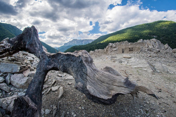 istock Old stump near lake 1035544386
