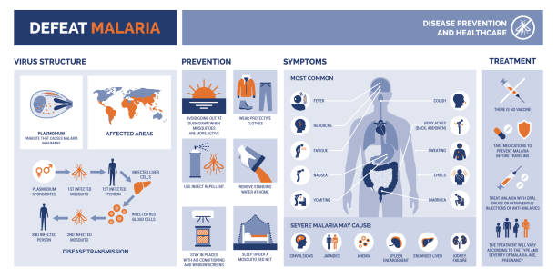 패배 말라리아 infographic 증상 및 예방 - malaria stock illustrations