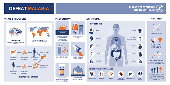 Defeat malaria medical vector infographic with disease prevention, symptoms and treatment