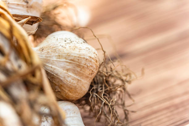 white garlic on wooden table