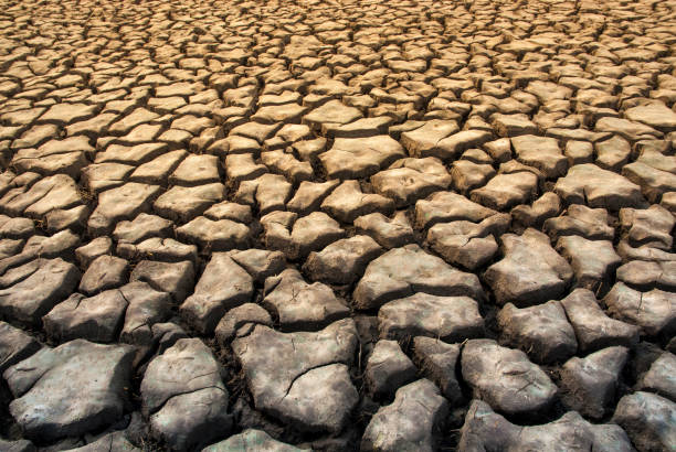 istock Dry season in Patagonia, Argetina 1035565990