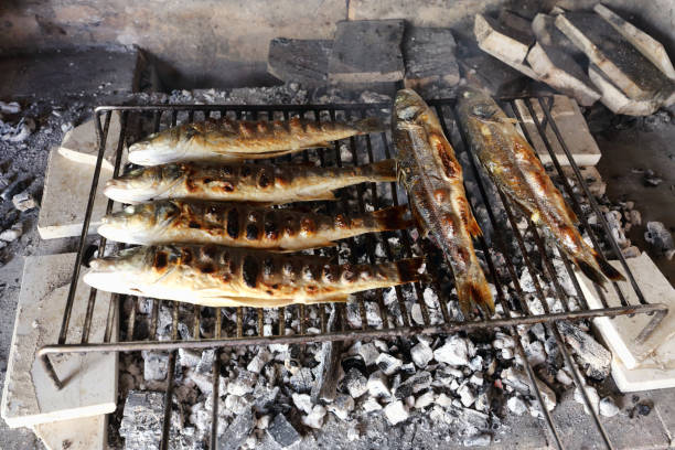 istock Sea Bass on a grill 1035566744