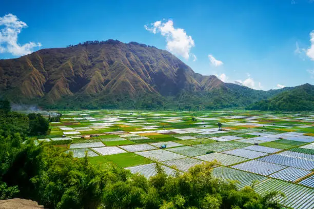 Exotic Rinjani foothill with colorful farmland under blue sky in Lombok, Indonesia