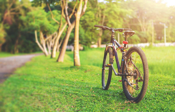 Free Stock Photo of Bicycle in rack | Download Free Images and Free ...