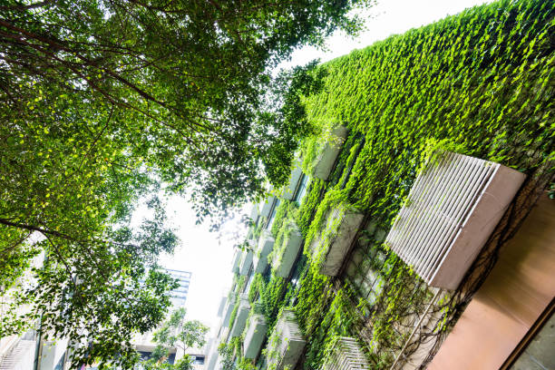 las plantas verdes crecen en las paredes del edificio - facade architecture asia built structure fotografías e imágenes de stock