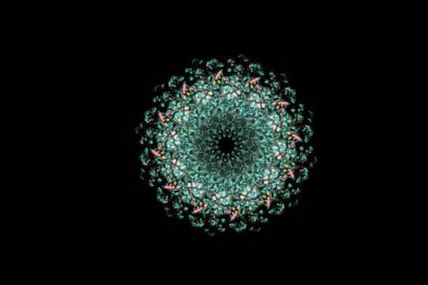 istock fireworks flower with black background 1035591150