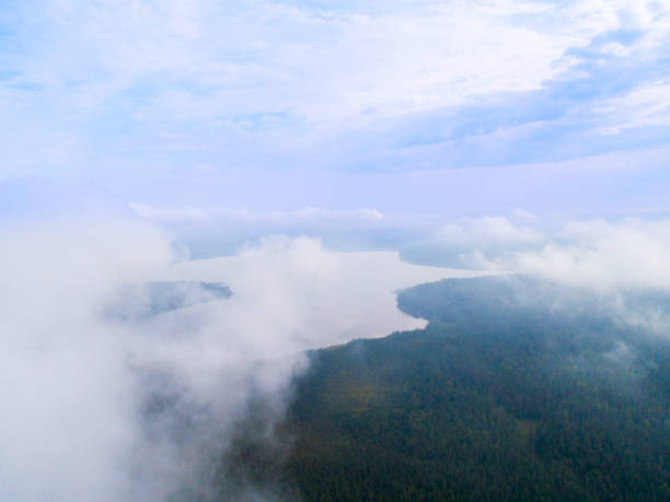 aerial drone vista as nuvens sobre a floresta verde e lago. nuvem baixa e mentiroso. vista aérea de sobre a floresta tropical. acima das nuvens no céu. grandes nuvens. atmosfera e estratosfera. vista superior do zangão - stratosphere panoramic above high angle view - fotografias e filmes do acervo