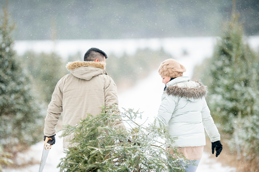 A husband and wife are carrying their newly-cut Christmas tree. It is a cold winter day.