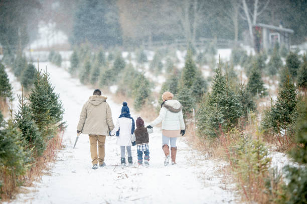 famille à la recherche d’un arbre - child winter snow asian ethnicity photos et images de collection