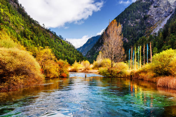 impresionante vista del pintoresco río con agua cristalina entre montañas - jiuzhaigou national park jiuzhaigou national park unesco world heritage site fotografías e imágenes de stock