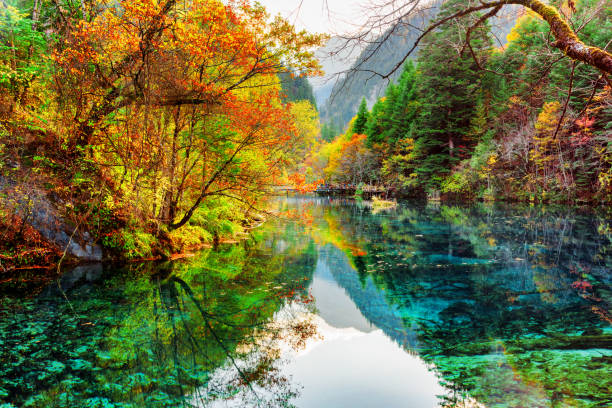 istock The Five Flower Lake. Colorful fall forest reflected in water 1035605282
