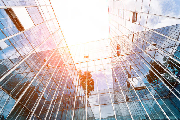 istock Tree on the top of modern office buildings 1035609110