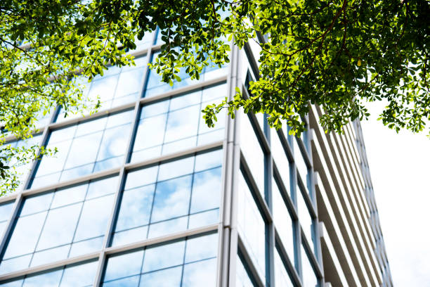 istock Modern office building with green leaves 1035618332