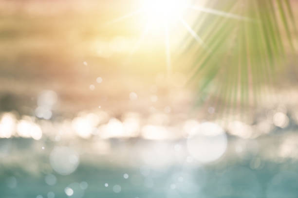 Blurred tropical sea at sunset. Blurred sunset, sea water bokeh and palm leaf for background. Blurred tropical sea at sunset. glittering sea stock pictures, royalty-free photos & images