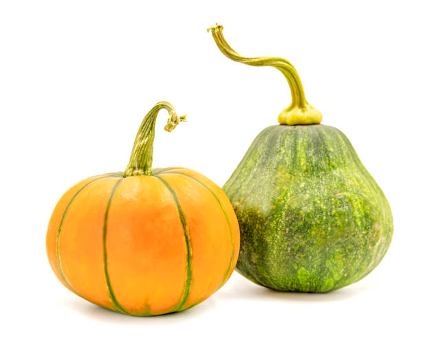 istock two yellow and green pumpkins isolated on white with clipping path 1035621984