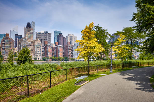 istock Footpath on the Roosevelt Island, New York. 1035625540