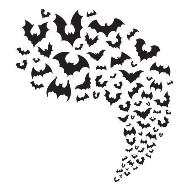 illustrations, cliparts, dessins animés et icônes de voler le troupeau de chauves-souris. chauve-souris d’halloween effrayant voler de la grotte. animal nocturne effrayant à illustration vectorielle de ciel diviseur horizontal - bat halloween silhouette wing
