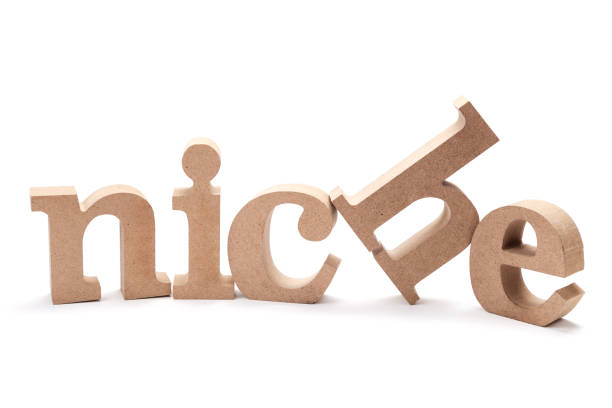 NICHE wood word on white background