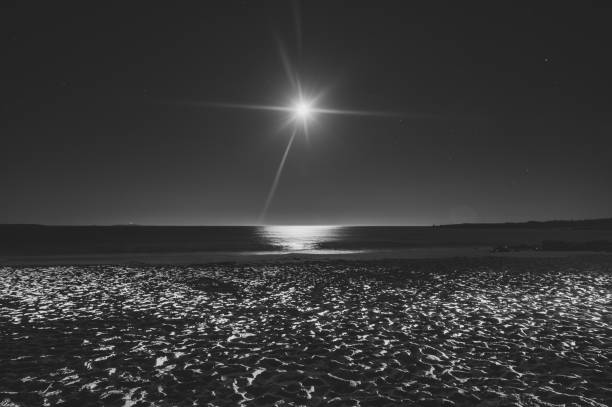 Moonlit Beach The full moon shines down on a Nova Scotian beach.  Long exposure. full moon photos stock pictures, royalty-free photos & images