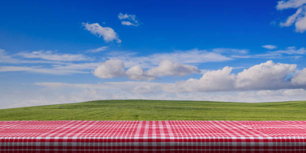 istock Table covered with red tablecloth on blue sky background, copy space. 3d illustration 1035632272