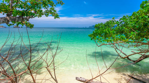istock beautiful sea beach and blue sky 1035635568