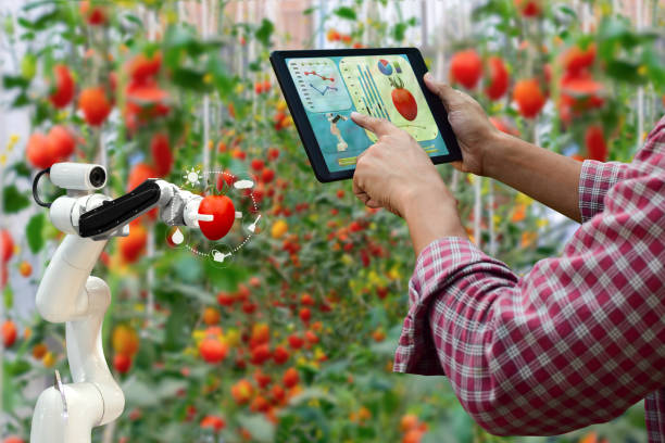 фермер проведение таблетки смарт-рука робот урожай работы сельскохозяйственной техники технологии - strawberry tomato стоковые фото и изображения