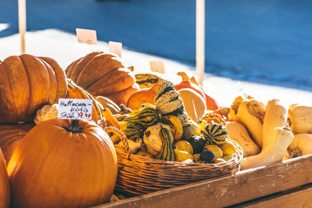 istock various pumpkins at farmers market 1035651140